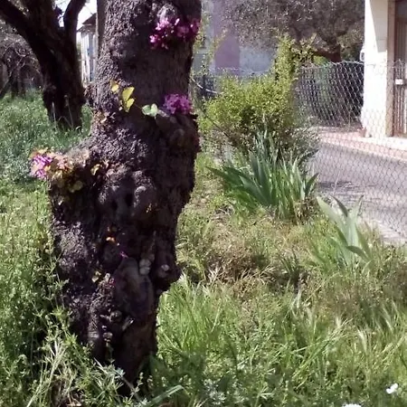 Bedandbiking Cortona