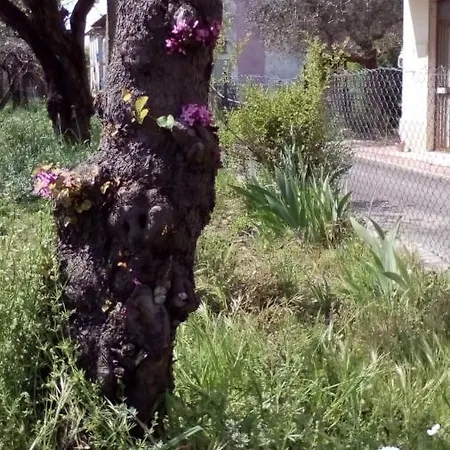Bedandbiking Cortona